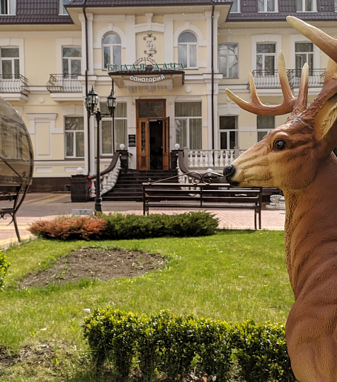  Санаторий «Белая дача» г. Кисловодск. Территория