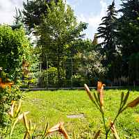 Территория