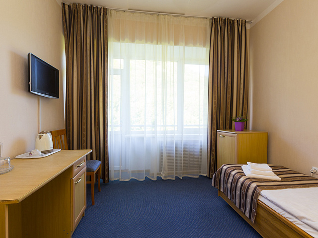 Санаторий «им. Эрнста Тельмана», Железноводск. 1-местный 1-комнатный номер 3 категории