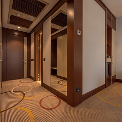  Санаторий «Источник» г. Железноводск, Номер