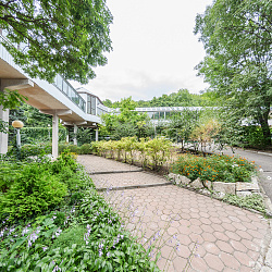  Санаторий «Родник» Пятигорск. Тёплый переход