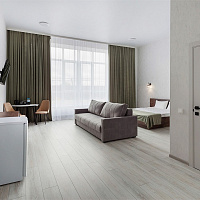 Джуниор Сюит+ 2-местный 1-комнатный