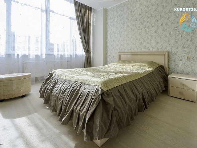 ФГБУ «Санаторно-реабилитационный центр МЧС России», Кисловодск. 2-местный номер «Люкс»