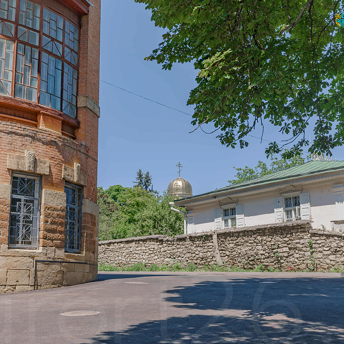  Кисловодская Клиника НИИ Курортологии, территория