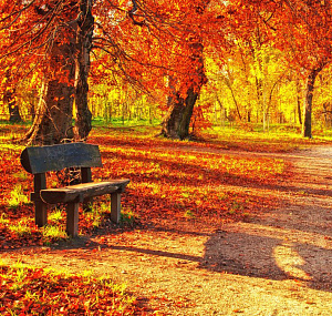 Бархатный сезон — выгодные цены в ноябре, декабре 2017 г.