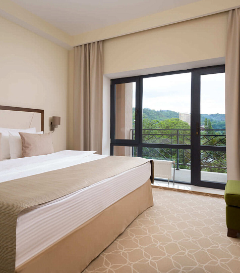  Спа-отель Green Resort Hotel & Spa г. Кисловодск. Номер "Люкс"