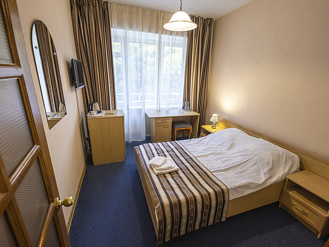 Санаторий «им. Эрнста Тельмана», Железноводск. 1-местный 1-комнатный номер 1 категории