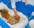 Санаторий «им. Эрнста Тельмана», Железноводск Санаторий «им. Эрнста Тельмана», Железноводск