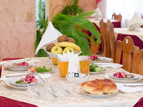 Санаторий «Долина Нарзанов» Железноводск, столовая