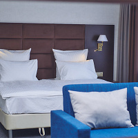 Джуниор Сюит 2-местный 1-комнатный