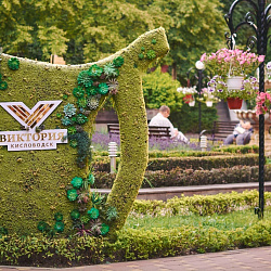  Санаторий «Виктория» г. Кисловодск. Территория