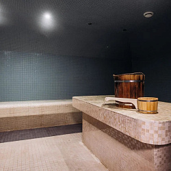  Санаторий «Дворец нарзанов» г. Кисловодск. Термальный комплекс