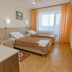  Санаторий «Долина Нарзанов» Железноводск, двухместный номер