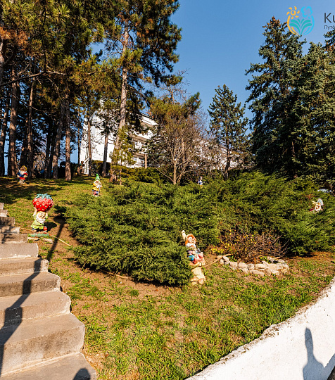  Санаторий «им. М.Ю. Лермонтова», г. Пятигорск. Территория