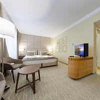  Санаторий «Машук Аква-Терм» Железноводск. Номер Studio plus однокомнатный двухместный