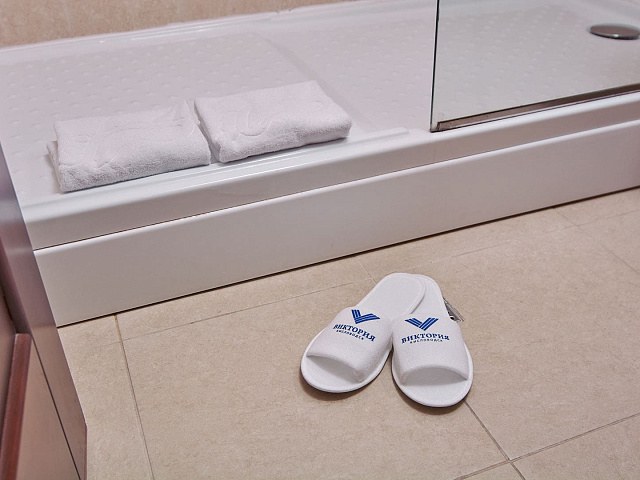 Санаторий «Виктория», Кисловодск. Двухкомнатный номер повышенной комфортности