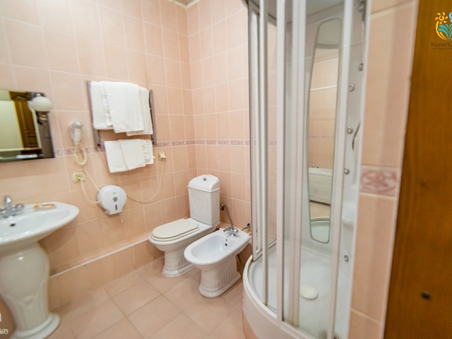 Санаторий «Воронеж», Ессентуки. 3-комнатный номер «Люкс»