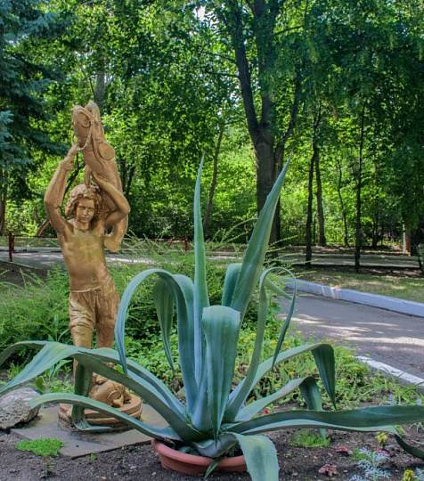  Санаторий «Лесная поляна», Пятигорск. Территория