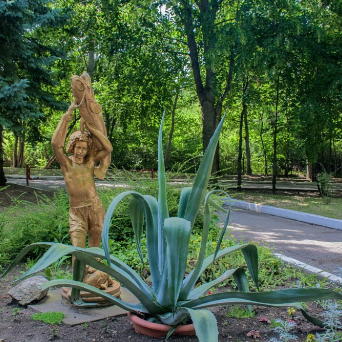  Санаторий «Лесная поляна», Пятигорск. Территория