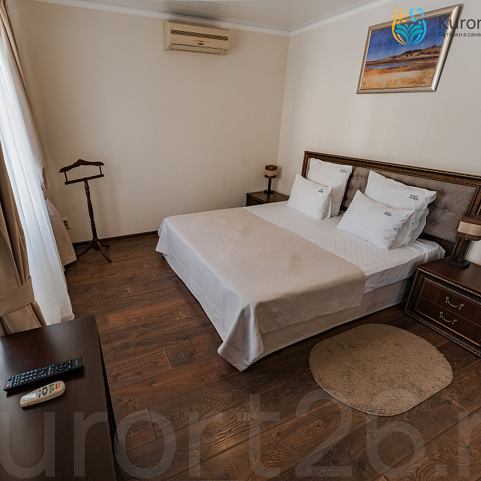  Санаторий «Эльбрус» Железноводск. Номер «Люкс»