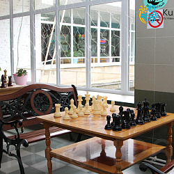  Санаторий «Лесная поляна», Пятигорск. Зона отдыха, игра в шахматы