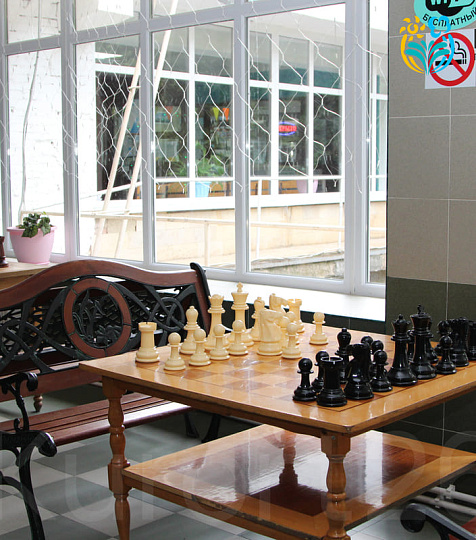  Санаторий «Лесная поляна», Пятигорск. Зона отдыха, игра в шахматы