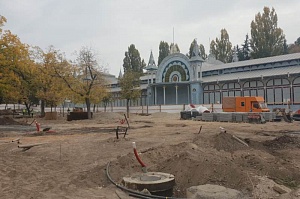 Более 20 деревьев заменят в Цветнике при реконструкции по курсбору