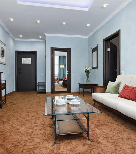   Санаторий «Русь» г. Ессентуки. Номер