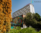 Санаторий «Дубрава» Железноводск. Территория Санаторий «Дубрава» Железноводск. Территория