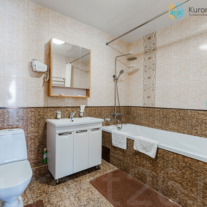  Санаторий «Эльбрус» Железноводск. Номер «Люкс»