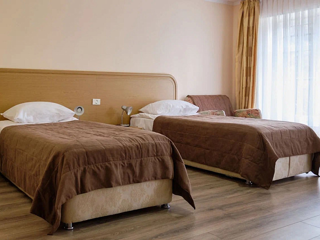 Санаторий «Долина Нарзанов», Ессентуки. 2-местный 1-комнатный «Комфорт»