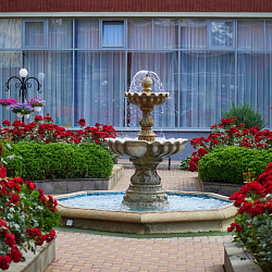  Санаторий «Виктория» г. Кисловодск. Территория