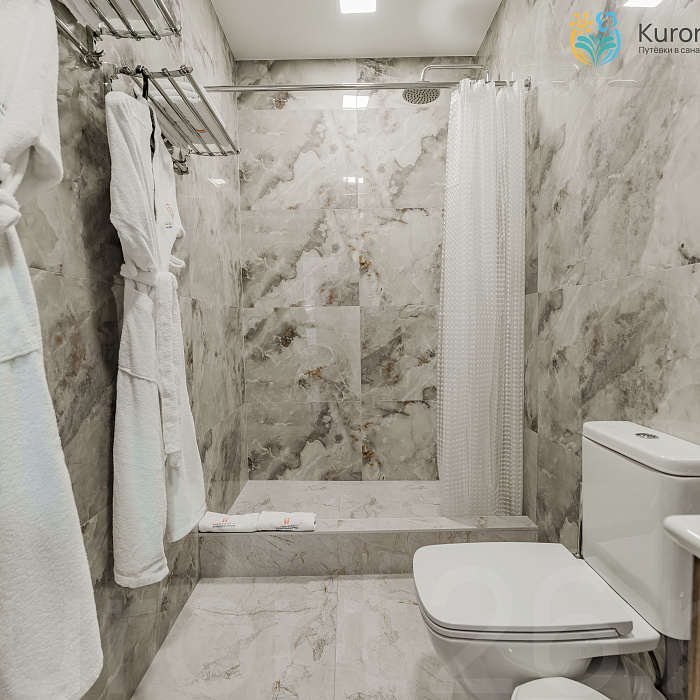  Санаторий «Жемчужина Кавказа» г.  Ессентуки. Двухместный номер «Улучшенный»