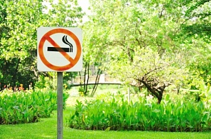 За курение в Кисловодском парке могут оштрафовать