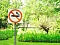 За курение в Кисловодском парке могут оштрафовать