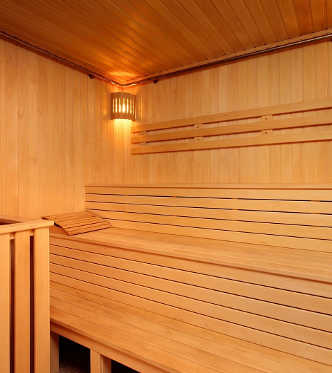  Санаторий «Кругозор» г. Кисловодск. Сауна