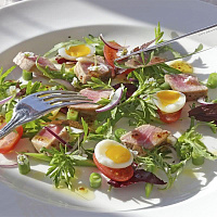   Санаторий «Русь» г. Ессентуки. Ресторан