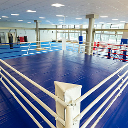  Спортивно-оздоровительный комплекс «Вершина 1240», Кисловодск. Ринг