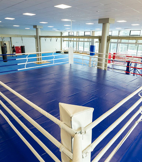  Спортивно-оздоровительный комплекс «Вершина 1240», Кисловодск. Ринг