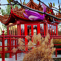 Бизнес-отель «МАСК» г. Железноводск. Парк «Зелёный квартал» напротив отеля