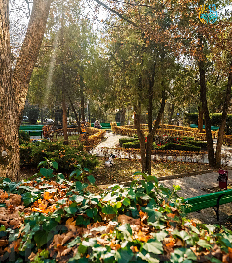  Санаторий «им. М.Ю. Лермонтова», г. Пятигорск. Территория