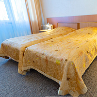  Санаторий «Виктория» г. Ессентуки. Люкс двухместный двухкомнатный, корпус 2