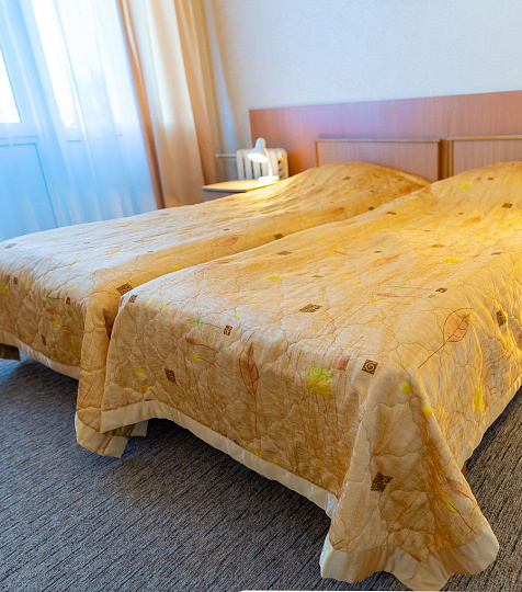  Санаторий «Виктория» г. Ессентуки. Люкс двухместный двухкомнатный, корпус 2