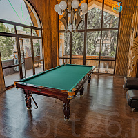  Санаторий «Колос» г. Кисловодск. Бильярд