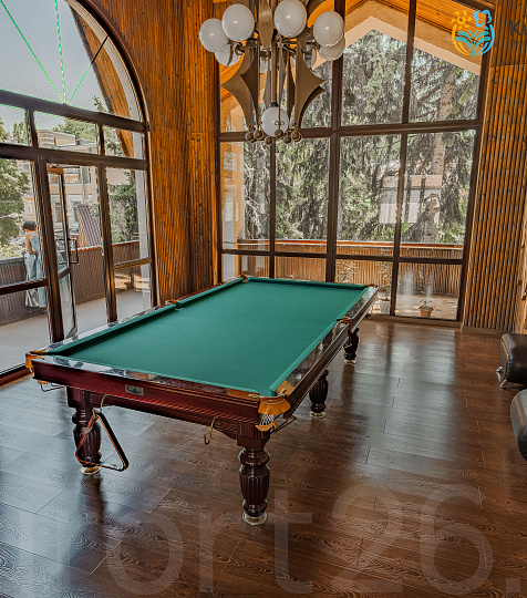  Санаторий «Колос» г. Кисловодск. Бильярд
