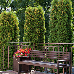  Cанаторий «Вернисаж» г. Кисловодск. Территория