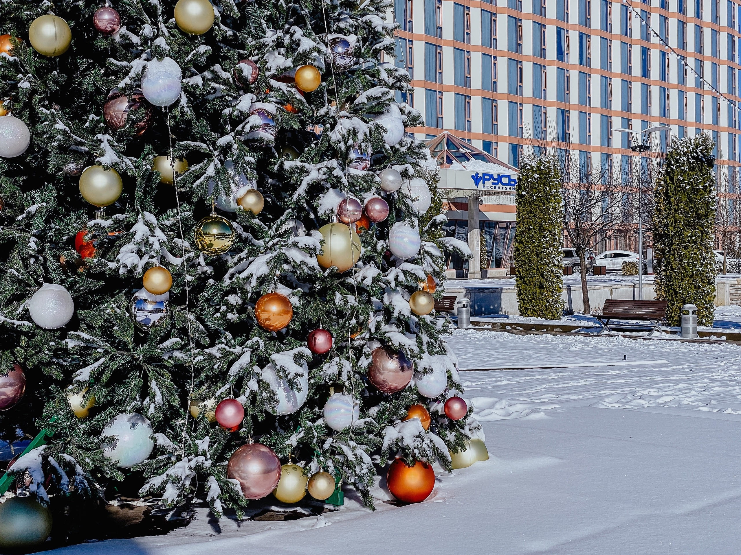 Цены ниже до 30% в декабре в санатории «Русь»