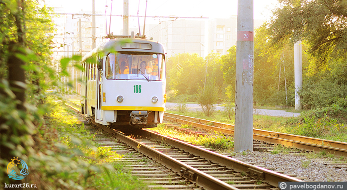 Трамвай. Автор фотографии Павел Богданов