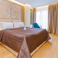 Санаторий Плаза г. Кисловодск, номер Санаторий Плаза г. Кисловодск, номер