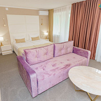 Санаторий «Минеральные Воды», г. Железноводск. Люкс Санаторий «Минеральные Воды», г. Железноводск. Люкс